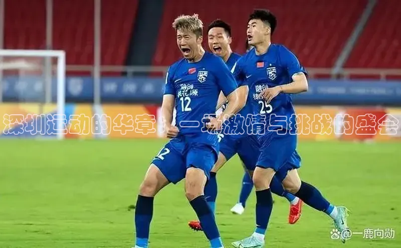 深圳运动的华章：一场激情与挑战的盛会