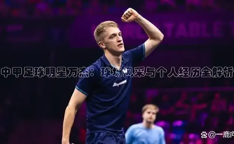 长征娱乐登录入口官方网站爱慕股份中甲足球明星万杰：球场风采与个人经历全解析
