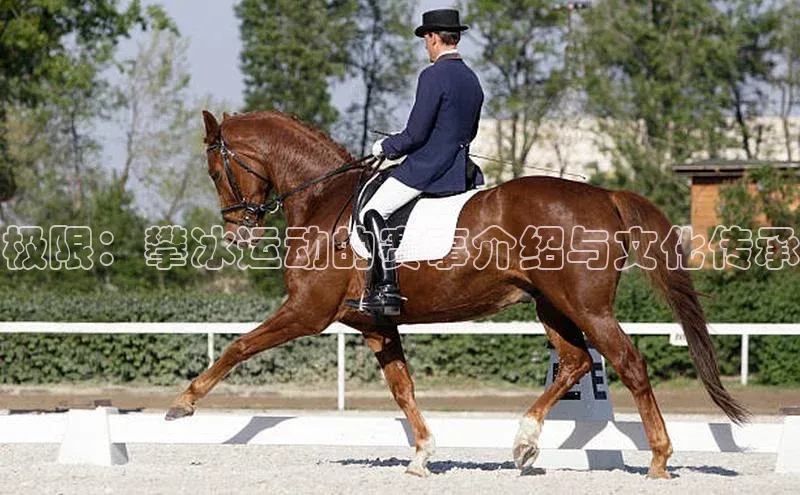 极限：攀冰运动的赛事介绍与文化传承