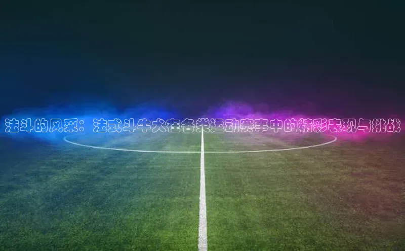 法斗的风采：法式斗牛犬在各类运动赛事中的精彩表现与挑战