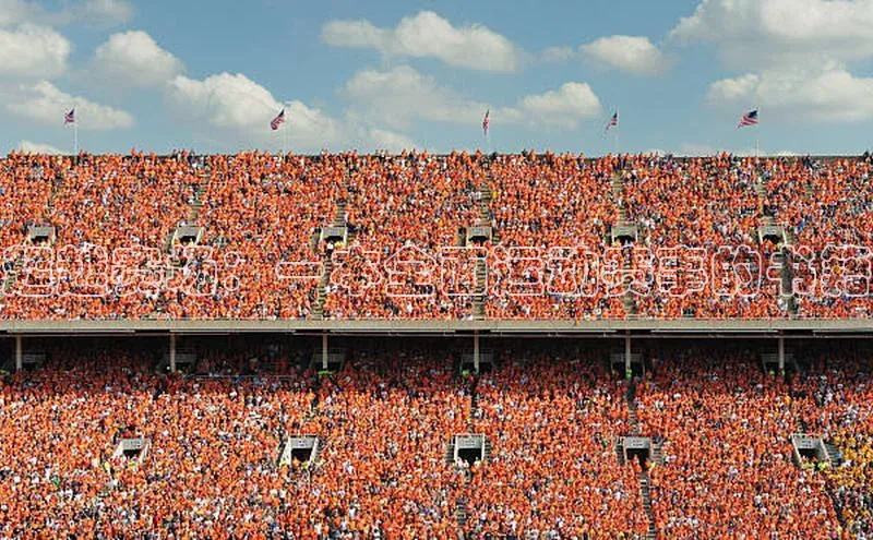 超越赛场：一本全面运动赛事的书籍