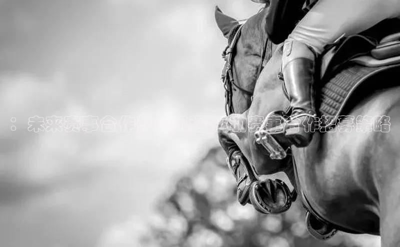 ：未来赛事合作伙伴机遇-运动赛事合作招募策略