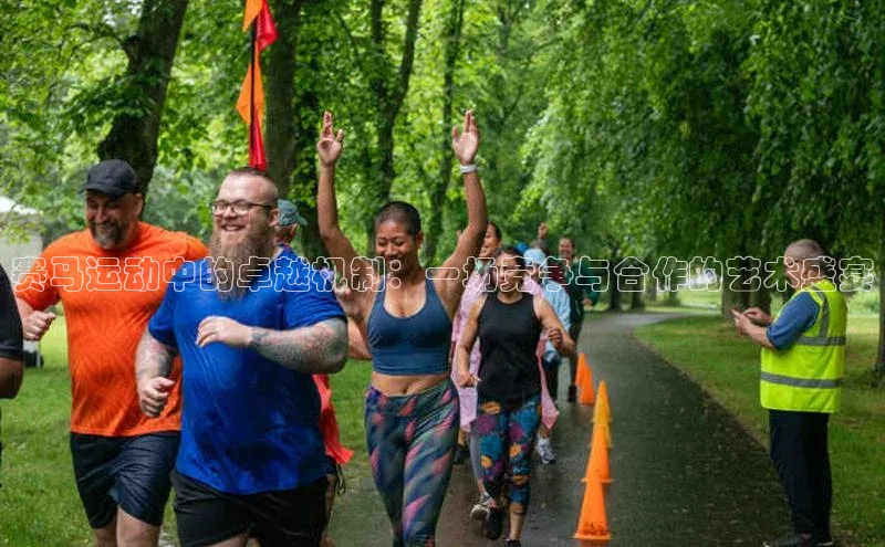 赛马运动中的卓越机制：一场竞争与合作的艺术盛宴