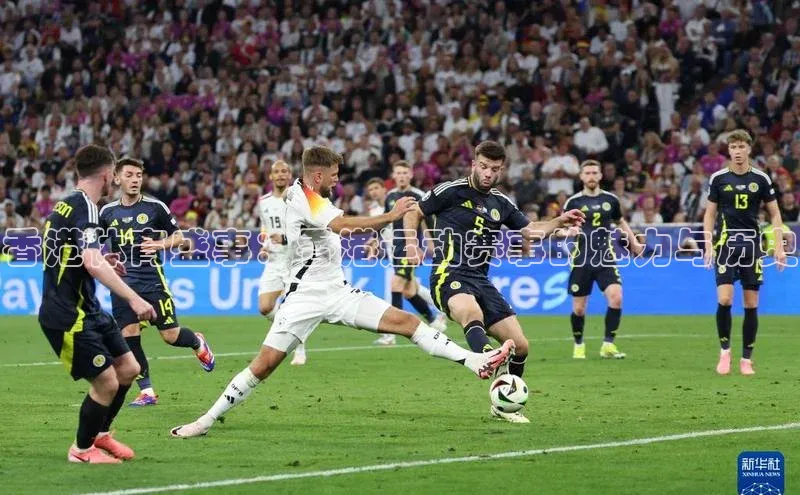 香港体育盛事：香港运动赛事的魅力与历史