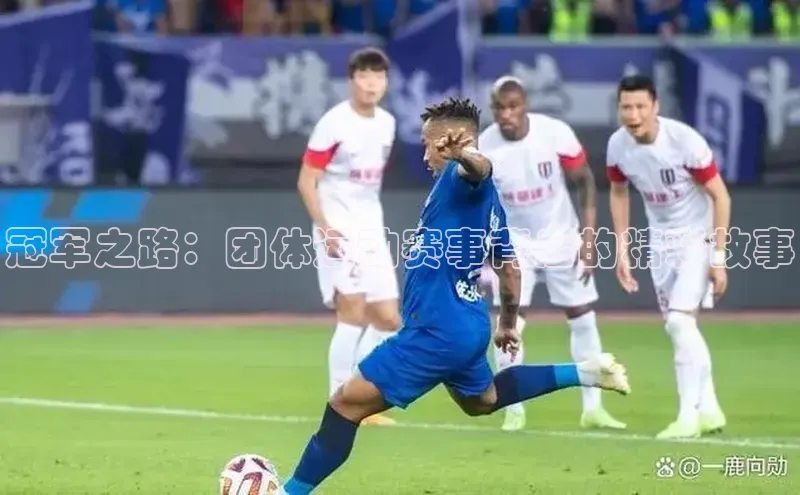 冠军之路：团体运动赛事背后的精彩故事