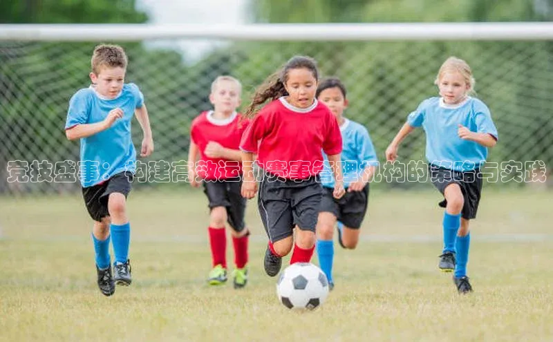 竞技盛事：构建高效运动赛事管理机构的策略与实践