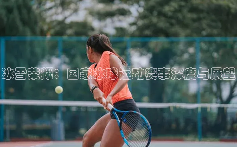 冰雪荣耀：国家冰球运动赛事深度与展望