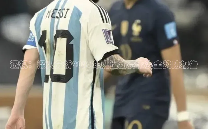 透视：深入分析2023年度运动赛事资金赞助报告