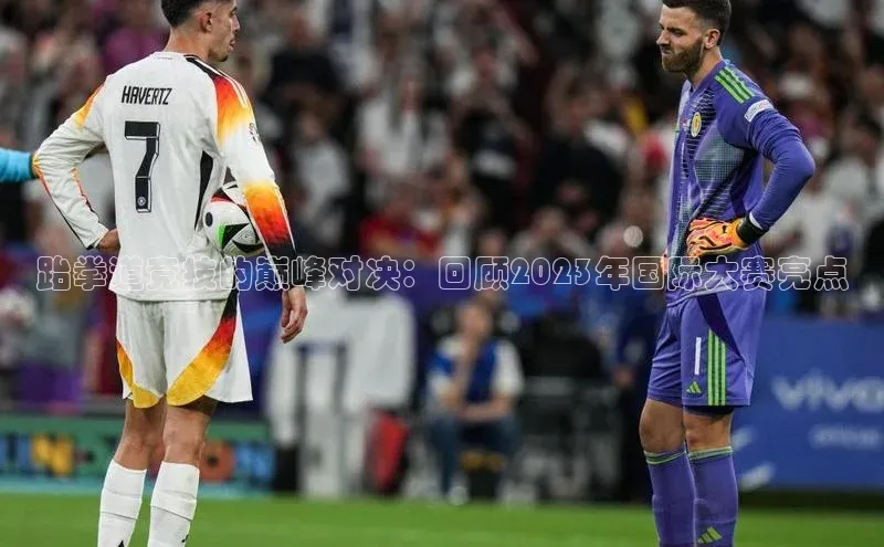 跆拳道竞技的巅峰对决：回顾2023年国际大赛亮点