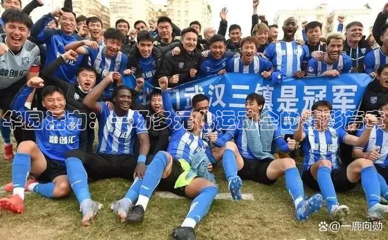 华园活力：一场多元化运动会的精彩篇章