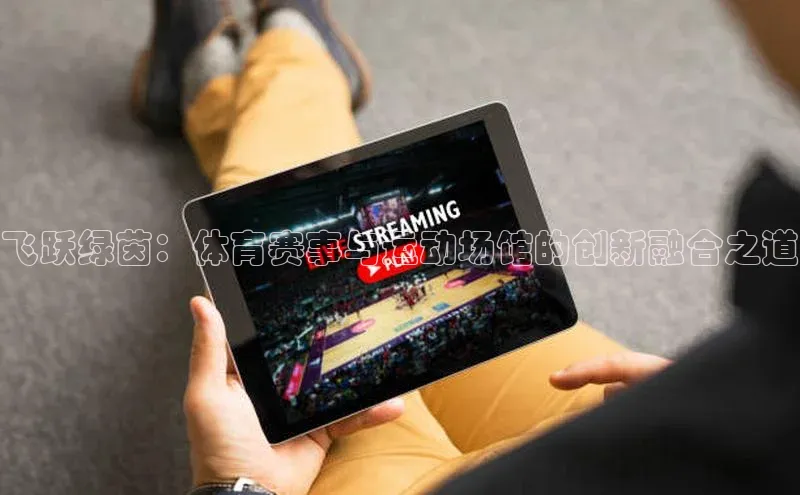 飞跃绿茵：体育赛事与运动场馆的创新融合之道